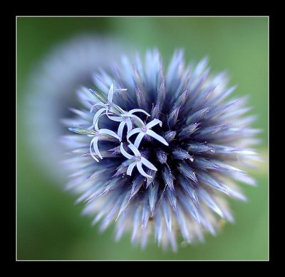 15-07-2006 - 165_filtered.jpg