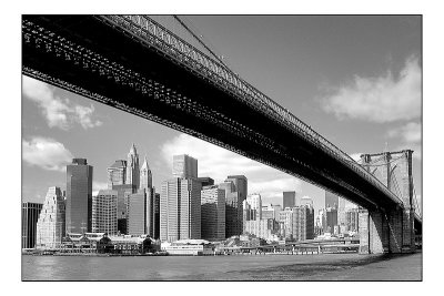 Brooklyn brigde.jpg