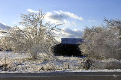 Jan. 31, 2006 - Ice Storm