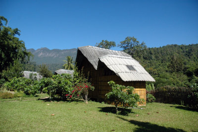 Chiang Dao Nest