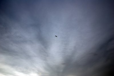 g6/62/401662/3/73648618.bNdBoGGQ.jpg