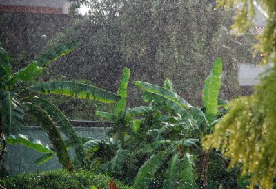 Heavy monsoon this season!