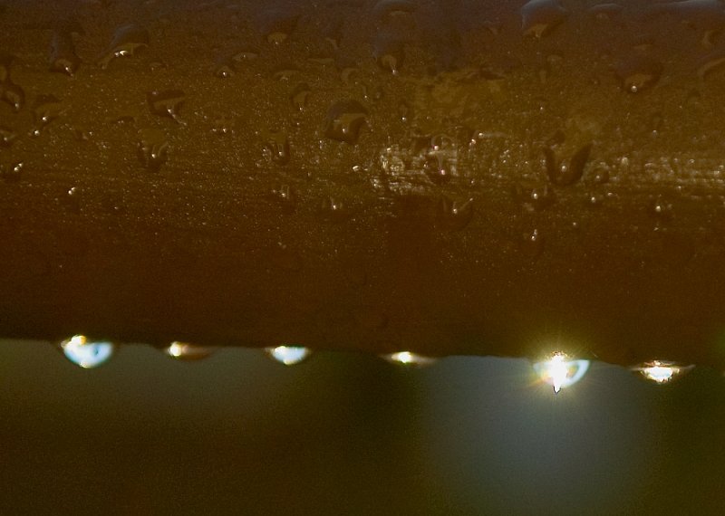 Light In A Drop
