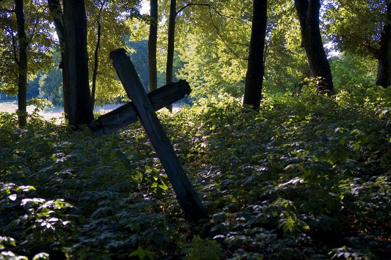 Zmijowiska