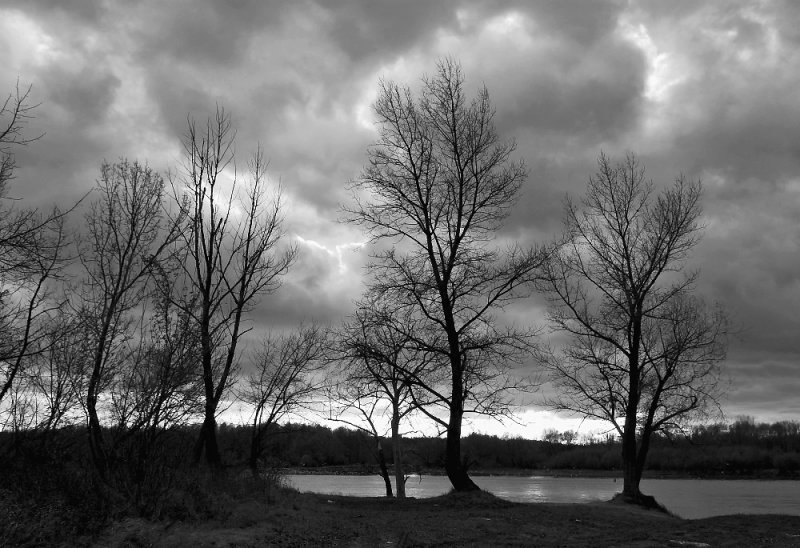 Cloudy River