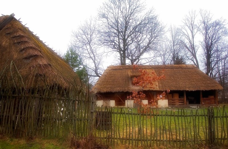 Rural farm in Guciow