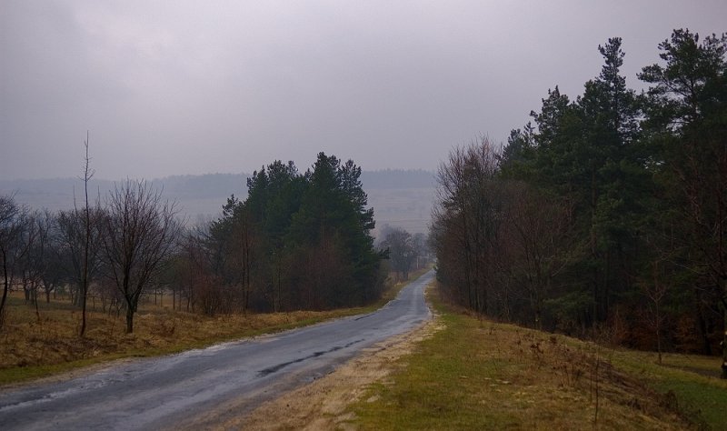 Road In Rain