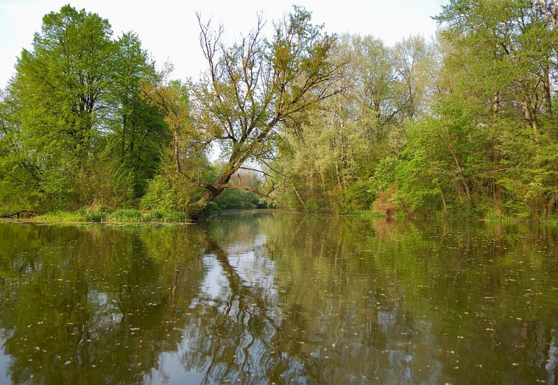 Wilanow Park