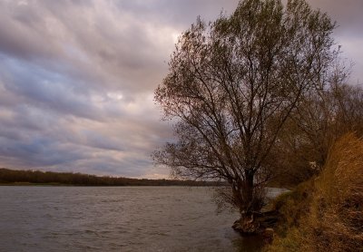 Wisla River In November Wind