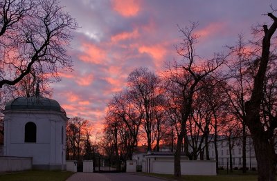 Evening Sky