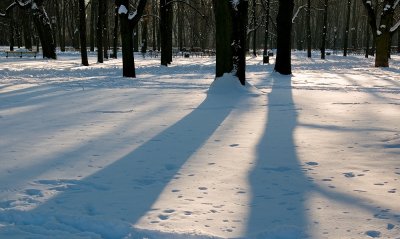 Long Shadows