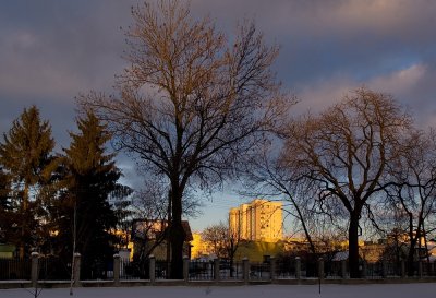 Sunny Winter Afternoon