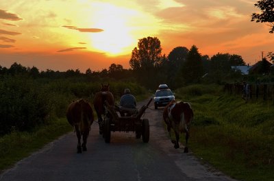 Sunset In The Country