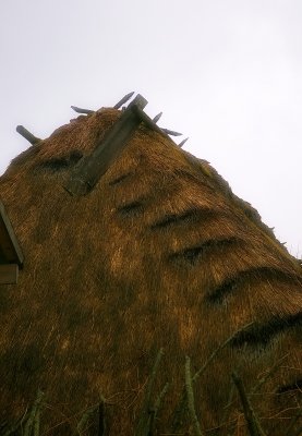 Barn's Roof In Guciow Farm