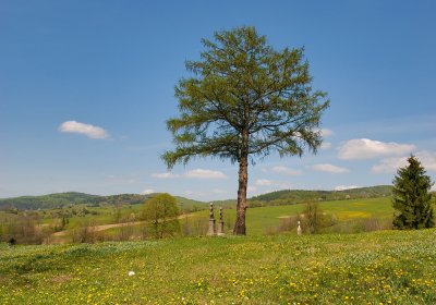 Landscape in Myscowa