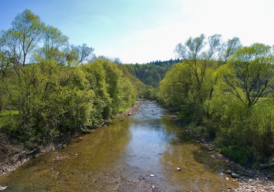 Wisloka River