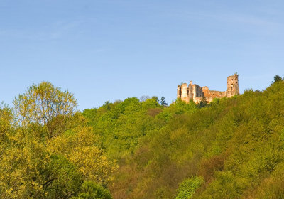 Zborov castle