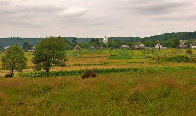 Landscape Near Vereschytza