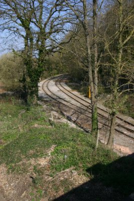 The Branch Line from The Bridge. 