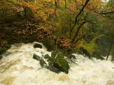 Stock Ghyll Force - Ambleside