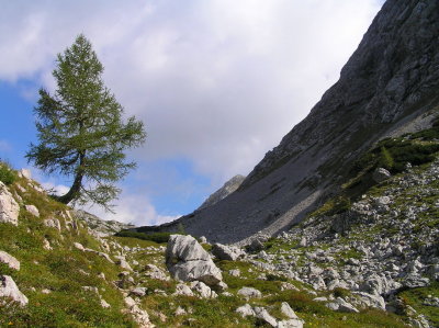 Berchtesgadner Land Richtung Schneibstein