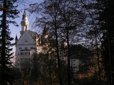early light.jpg