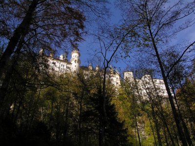 PA274533.jpg