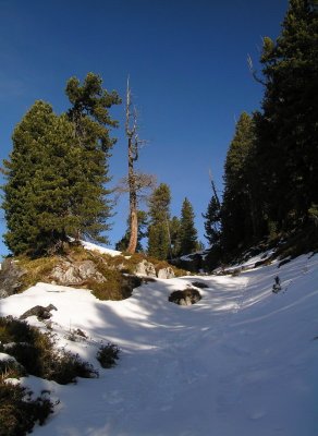 Silvestertour 2006 - Hirzberg