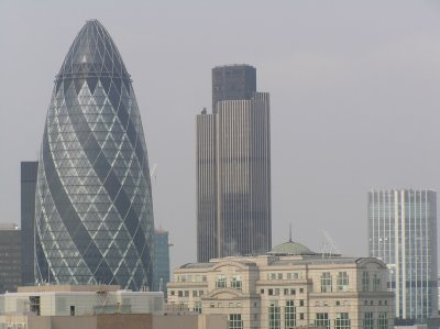 Gherkin close up