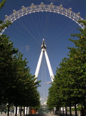 London Eye framed