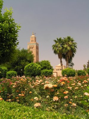 Koutoubia with park