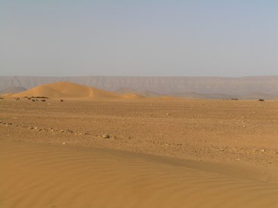 Dunes de Tinfou