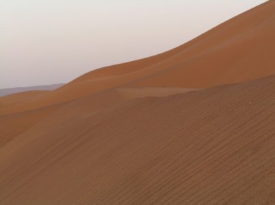 dunes 3.jpg