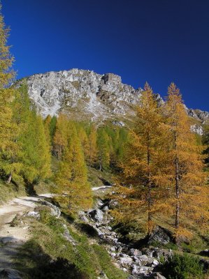 Blick von der Ursprungalm zurck