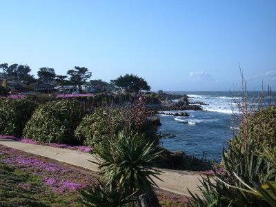 Pacific Grove coastline