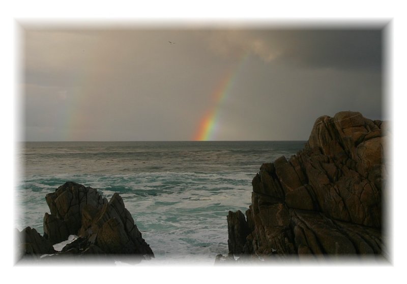 Monterey Rainbow