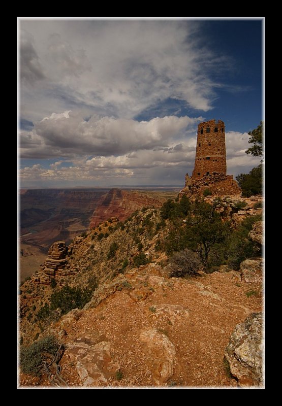 Towering Over the Canyon