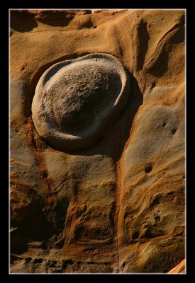 Monterey Sculpture