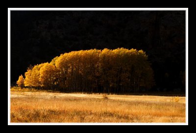 g6/62/657162/3/86174214.FvmDfZ2W.jpg