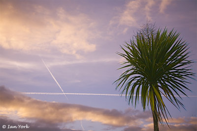 Gloucester Sunset
