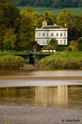 Grand Reflection