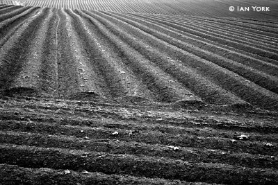 Parallel Ploughing
