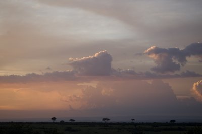 Masai Mara  Sunset
