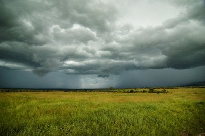Masai Mara Rainstorm