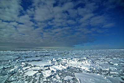 sea-ice