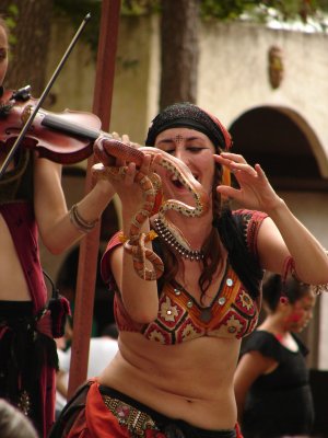 DSC09744.JPG