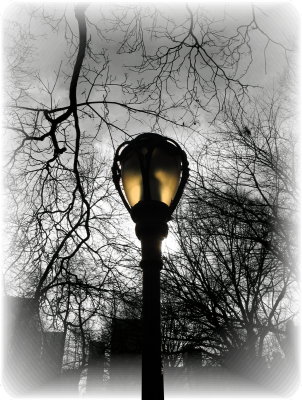 Central Park Lampost