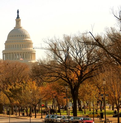 The Capitol