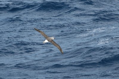 g6/62/742562/3/73049843.2lF9oFi9.jpg