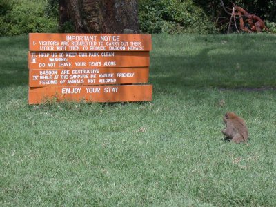 Nakuru NP